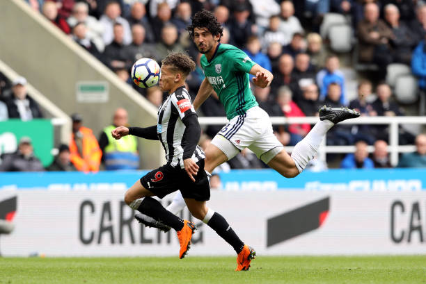 显然意识到 显然意识到